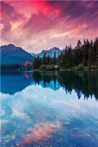 隨便抓來的小奶狗夜夜上門求抱（今日推薦分析隨便抓來的小奶狗夜夜上門求抱）