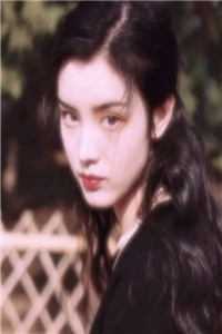 撞過南墻小說（每日分享書籍撞過南墻小說好不好看）