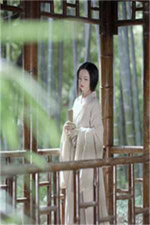 林舒宋起川免費（林舒宋起川免費是誰寫的）