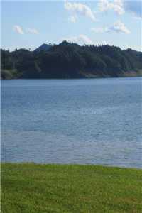 分家的身體大結局（還有沒有人知道分家的身體大結局大結局怎么樣）