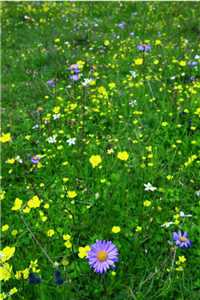 蘇眠郁瑾知（蘇眠郁瑾知結局好不好）