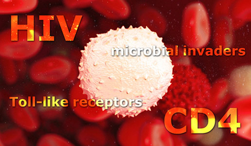 發現提示抗擊艾滋病新戰略